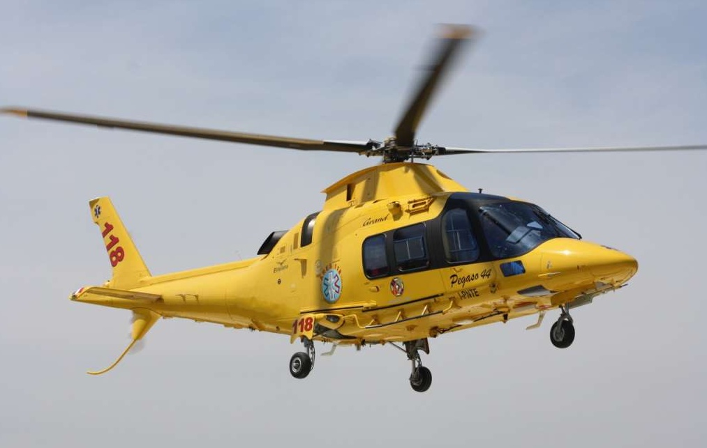 Val Vigezzo: muore punto da una vespa