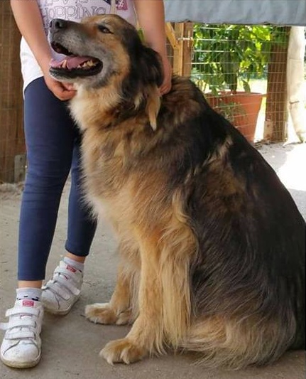 Varallo Pombia: chi ha visto Argo?