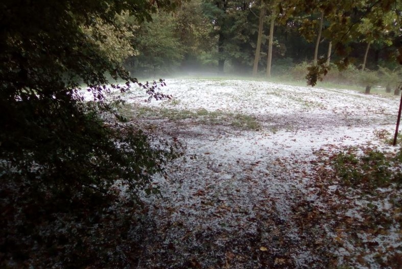 Violenta grandinata a Borgolavezzaro