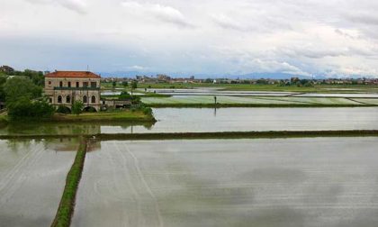 Con ExpoRice 2017 tre mesi di eventi dedicati al riso