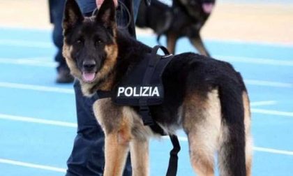 Controlli in zona stazione e in centro, in manette uno spacciatore