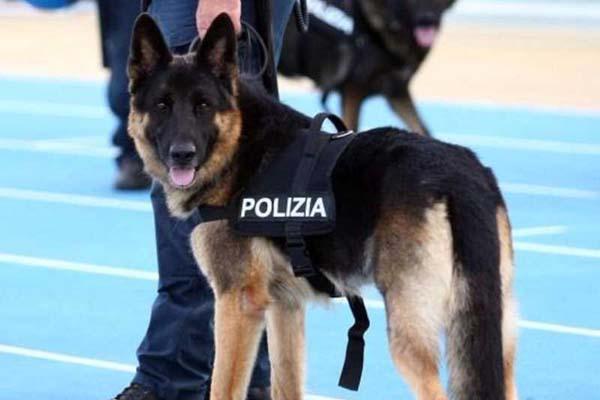 Controlli in zona stazione e in centro, in manette uno spacciatore