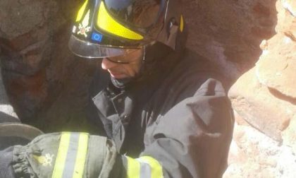 Gatto cade in un pozzo, salvato dai Vigili del fuoco