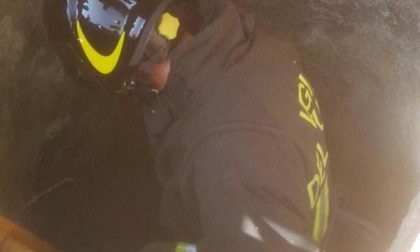 Gatto cade in un pozzo, salvato dai Vigili del fuoco
