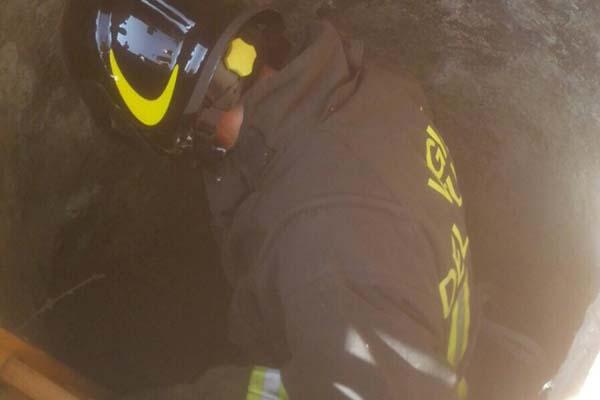 Gatto cade in un pozzo, salvato dai Vigili del fuoco