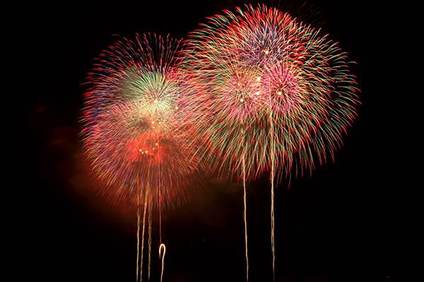 I fuochi d’artificio illuminano la Festa nazionale svizzera