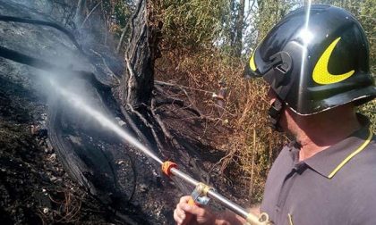 Incendi di sterpaglie a Cameri e Galliate