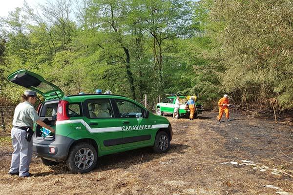 Incendio a Barengo, denunciato il proprietario del fondo