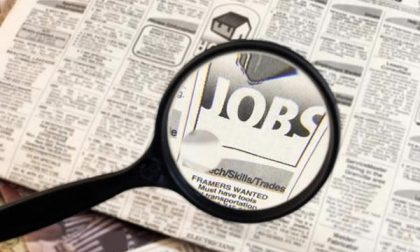 Le imprese novaresi assumono 5.720 addetti