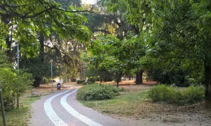 Novara, al via il restyling di mille alberi