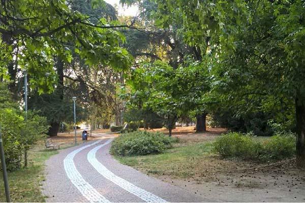 Novara, al via il restyling di mille alberi