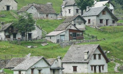 Punto da sciame di insetti muore per shock anafilattico