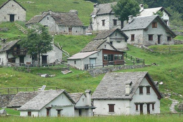 Punto da sciame di insetti muore per shock anafilattico