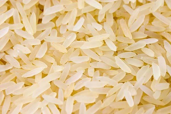 Riso: importazioni raddoppiate dall’Asia, Coldiretti Novara Vco chiede la salvaguardia