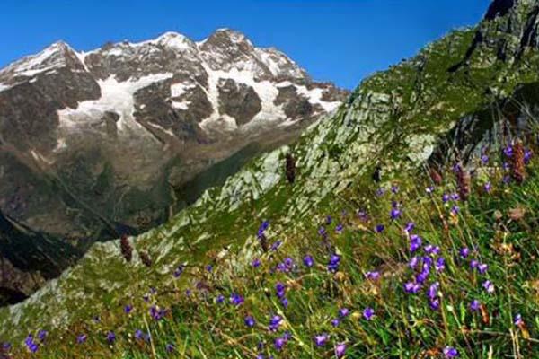 Parco Val Grande: nuovo regolamento per il transito armi lungo le sue strade
