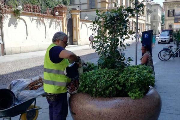 Sistemate le fioriere in centro città