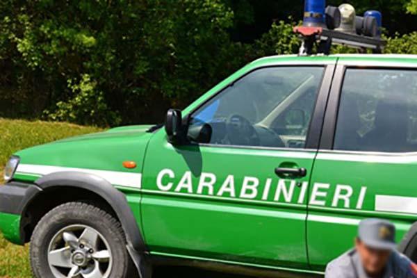 Smaltimento illecito, denunciato titolare di una ditta