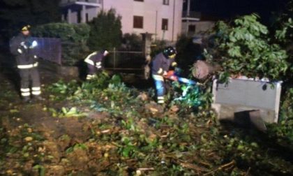 Vigili del Fuoco in azione a San Maurizio d’Opaglio