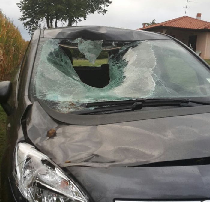 Borgomanero: incidente con un cavallo