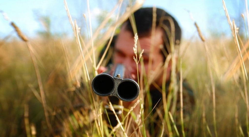 La proposta M5S: «Il Pd sia coerente, stop alla caccia»