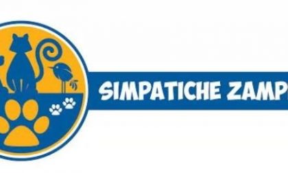 Simpatiche Zampette: è tutto pronto per la premiazione!