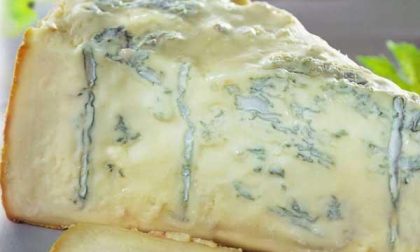Dazi Usa: colpito anche l'export di Gorgonzola novarese