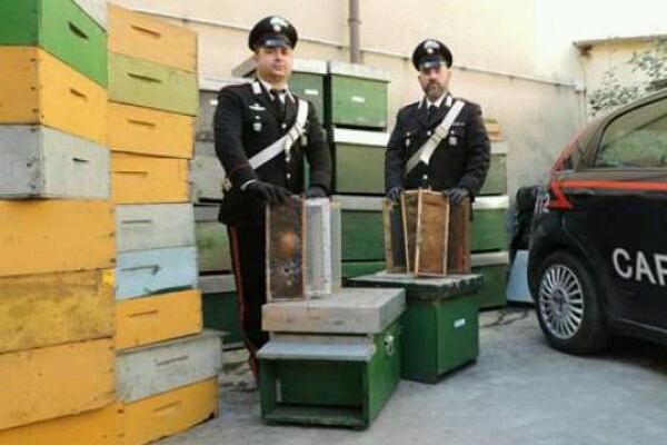 Apicultore novarese derubato delle arnie