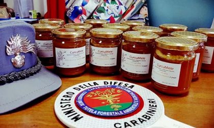 Cavaglio d'Agogna, sequestrati 15 barattoli di miele e denunciato apicoltore