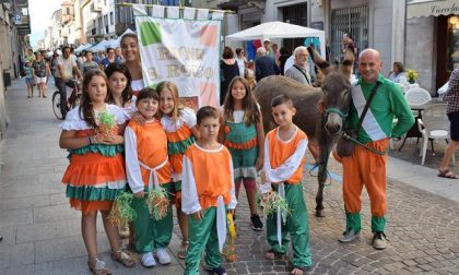 E' il giorno della corsa degli asini