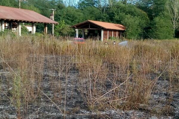Incendio vegetazione tra Fara e Carpignano: sul posto i Vigili del fuoco
