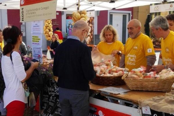 Sabato una puntata di Linea Verde dedicata al Novarese