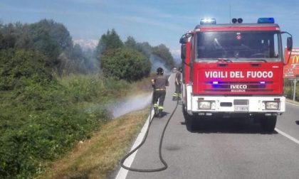 Sterpaglie a fuoco a Fontaneto, a ridosso della provinciale