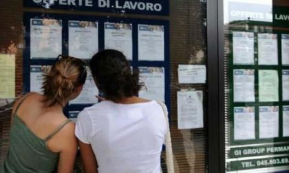 Tirocini potenziati per i Neet novaresi