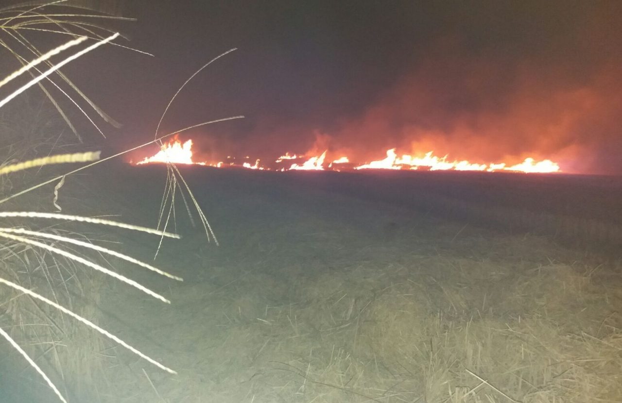 Allarme incendi nei boschi: è allerta