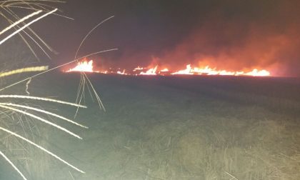Allarme incendi nei boschi: è allerta