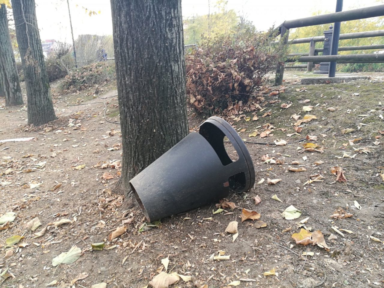 Cestini vandalizzati sul lungo fiume