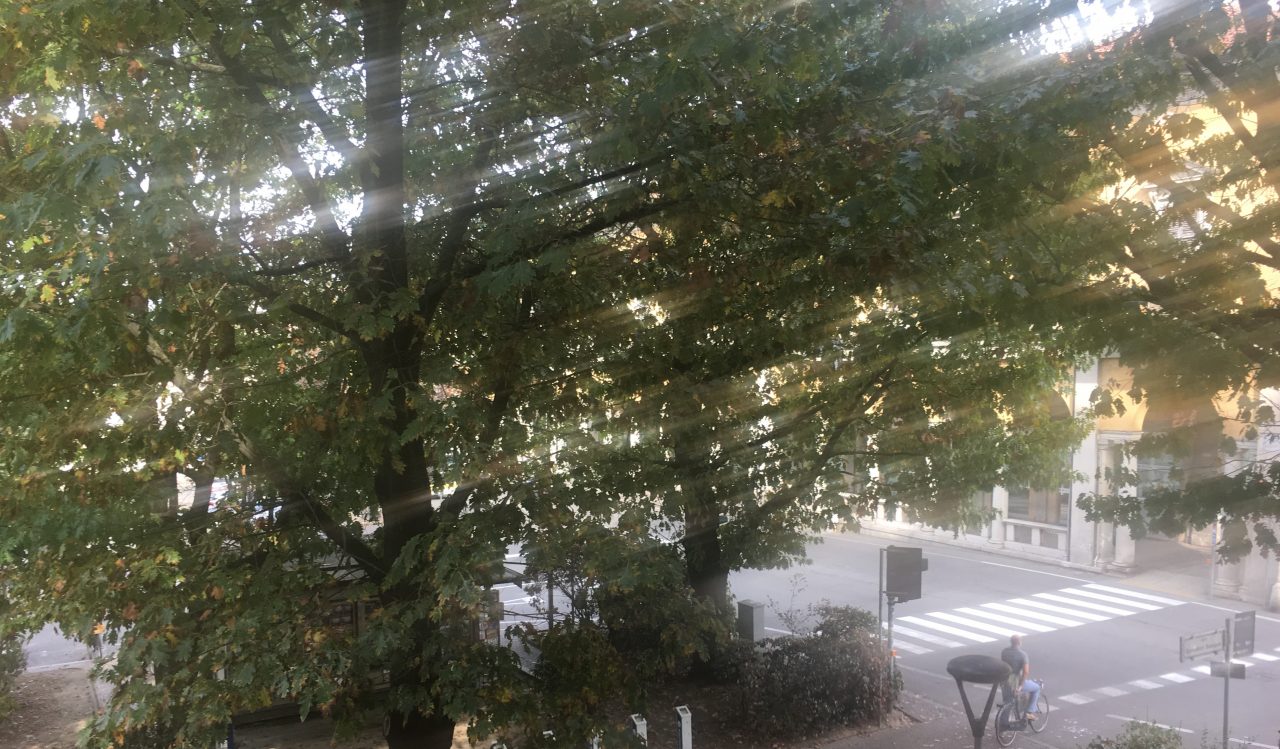 No allarme in città per l’inquinamento atmosferico