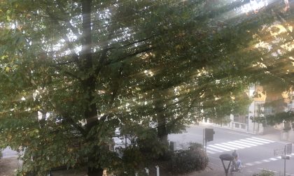 No allarme in città per l'inquinamento atmosferico