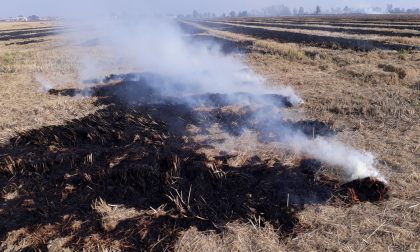 San Pietro Mosezzo: incendio vegetazione