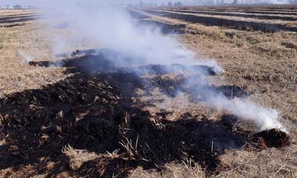 A fuoco un’ampia area di vegetazione a S. Pietro Mosezzo