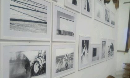 A Novara un weekend nel segno del riso