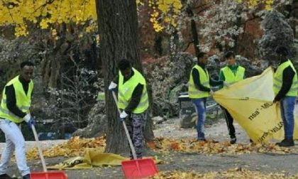 Addio al progetto per i richiedenti asilo, botta e risposta in Consiglio