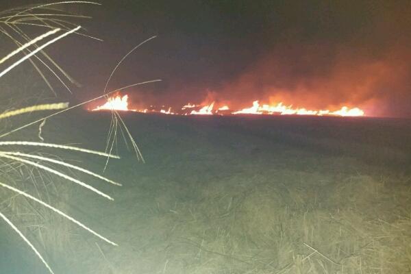 Ampio incendio nella zona tra la tangenziale est e Garbagna venerdì sera