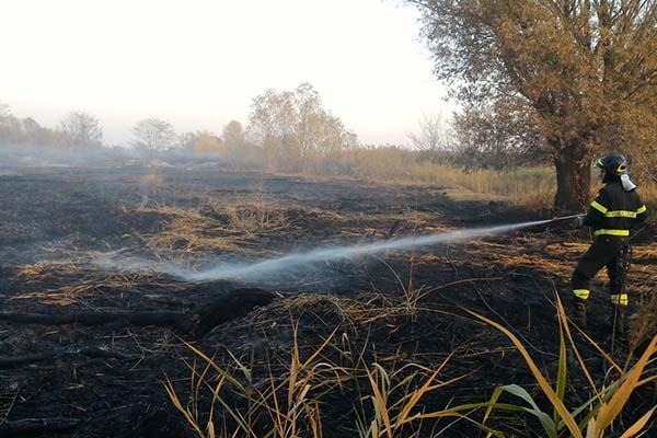 Circa 7mila metri quadrati di sterpaglie a fuoco a ridosso della tangenziale