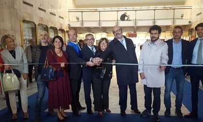 Exporice, un weekend a tutto riso a Novara (FOTOGALLERY)