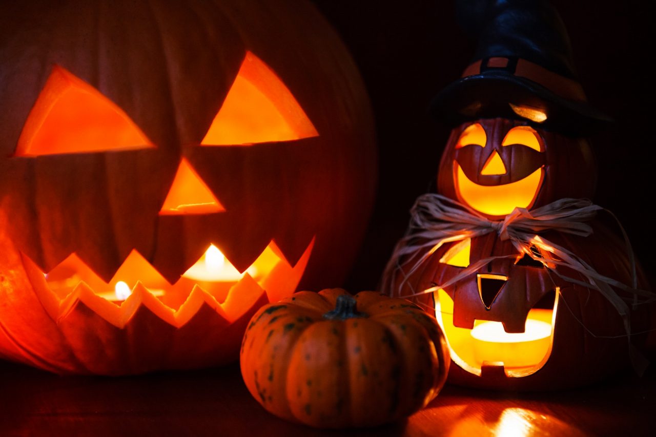 Cosa fare a Novara e provincia (e Vco): gli eventi del weekend 30-31 ottobre