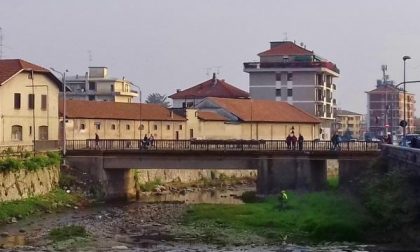 In corso la pulizia del torrente Agogna
