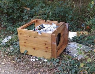 Cucina abbandonata nei boschi