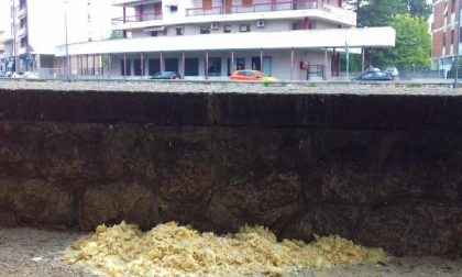Nonostante il divieto, ancora pane lasciato al Parco della Resistenza