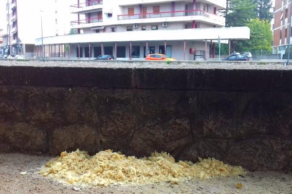 Nonostante il divieto, ancora pane lasciato al Parco della Resistenza